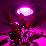 50W Full Spectrum LED Grow Light for Veg, Seed, Greenhouse - Super Cooling, AC110V/220V