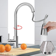 Stainless Steel Kitchen Sink Faucet with Pull-Out Sprayer Head and Dual Water Spray Modes