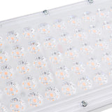 Full Spectrum 50 LED Grow Light Lamp for Plants - Flood Lighting