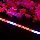 DC12V 5PCS 50CM SMD5050 LED Grow Light Strip Kit for Hydroponic Indoor Veg Plants + Power Adapter