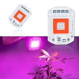 AC110V/220V 20W 30W 50W Full Spectrum Red & Blue LED Grow Light Chip for Indoor Plants & Flowers