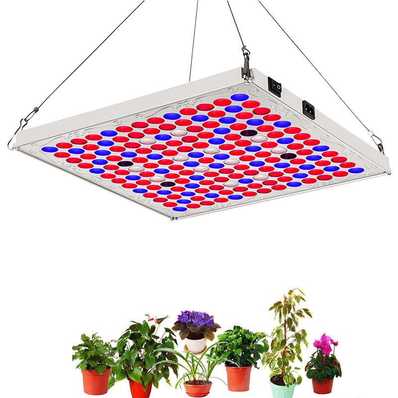 169LED Full Spectrum LED Grow Light for Indoor Hydroponic Plant Growing