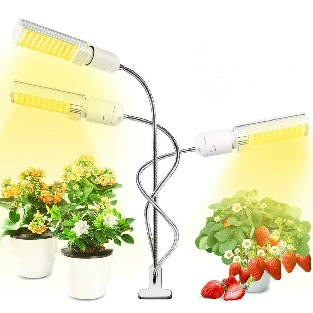 USB LED Timing Plant Grow Light - Three Heads, Phyto Sunlight for Flower Growth