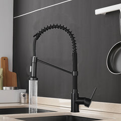 Single Handle Kitchen Faucet with Swivel Spout and Pull Down Spray Mixer Tap