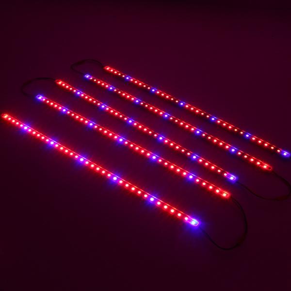 5PCS 50CM SMD5050 LED Strip Light + 5A Power Adapter for Plant Growth, Non-Waterproof, DC12V