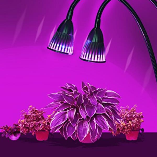 DC12V 14W Plant Grow Light with Clip, Double Lamp Holders, Double Switches, 8 Red & 6 Blue LEDs