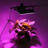 Full Spectrum 50 LED Grow Light Lamp for Plants - Flood Lighting