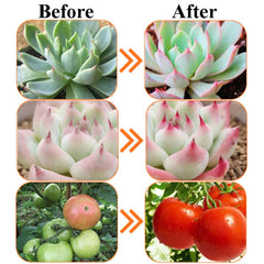 8W A60 E27/B22 COB LED Grow Light Bulb for Hydroponics & Greenhouse, Non-Dimmable, AC85-265V