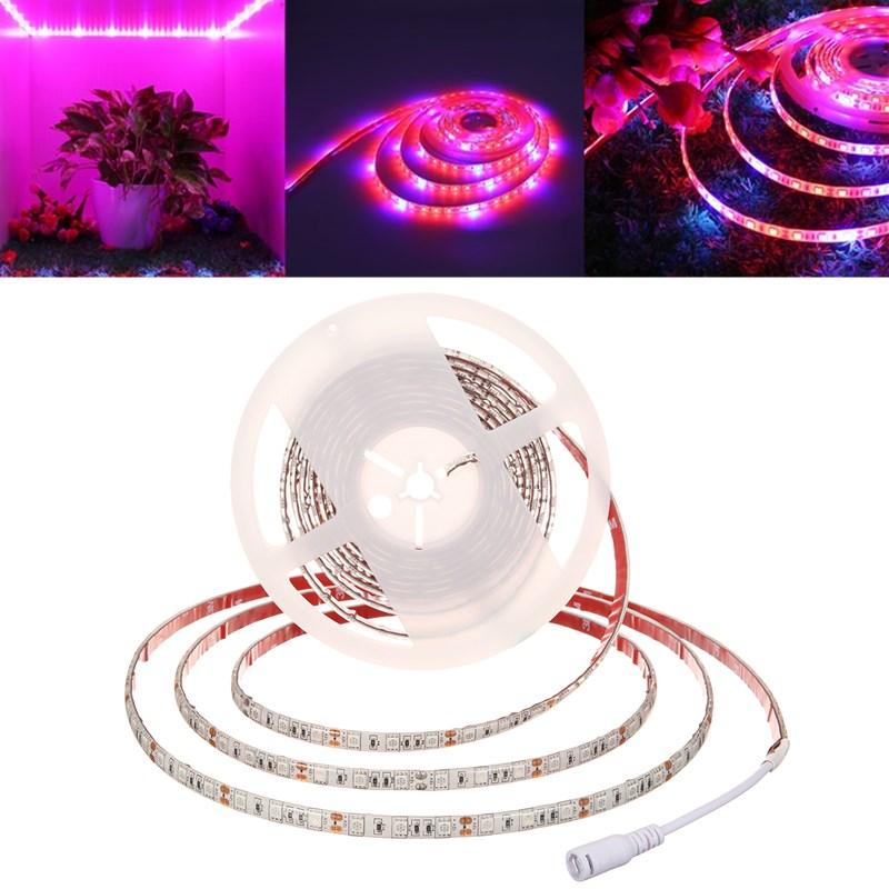 5M SMD5050 Waterproof Full Spectrum LED Grow Light Strip for Greenhouse & Aquarium DC12V