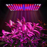 225 LED Grow Light Panel - Blue, Red, White, Orange for Hydroponics, Indoor Plants, Veg & Flowers, AC85-265V Ultrathin