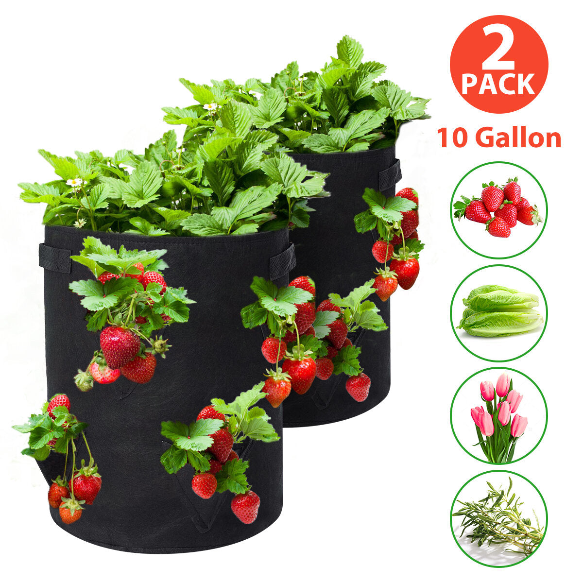 2-Pack 10 Gallon Strawberry Planting Bags - Premium Breathable Fabric Pots for Optimal Growth