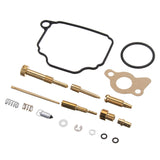 Carburetor Repair & Rebuild Kit Tool Set for Carb Maintenance