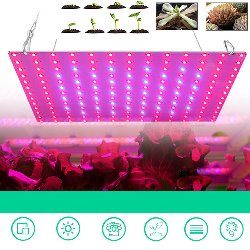 169/81 LED Full Spectrum Grow Light for Indoor Plants, Veg, Flower, Hydroponics - 85-265V