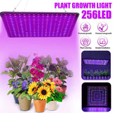 5000W Full Spectrum LED Grow Light for Indoor Hydroponic Plants and Veggies with UV Support