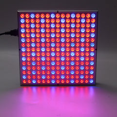 1200W Waterproof LED Grow Light, Full Spectrum Plant Lamp for Indoor Plants - US Plug