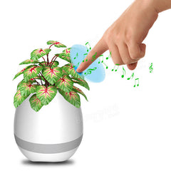 Bluetooth Music Flower Pot with Electrostatic Induction and Night Light