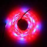 3M SMD5050 Red:Blue 5:1 Full Spectrum LED Grow Light Strip Kit + DC12V Power Adapter for Hydroponic Plants