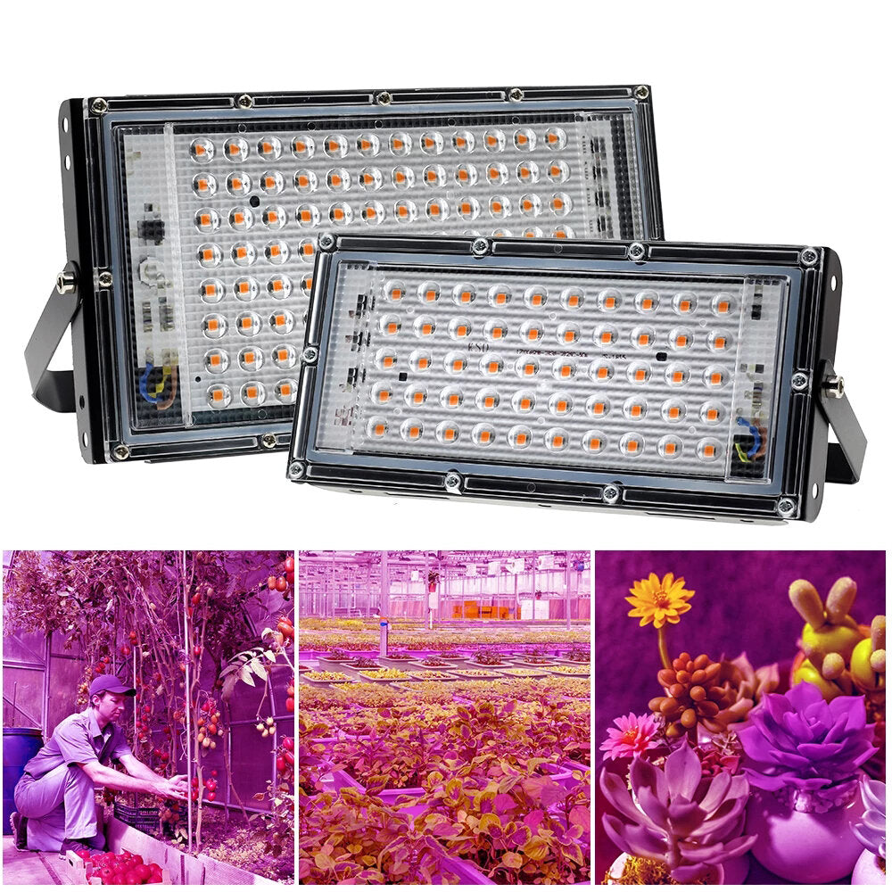 220V Full Spectrum LED Grow Light for Plants, Flowers, Seedlings - Phytolamp Floodlight