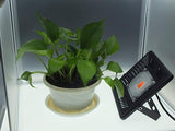 50W Full Spectrum LED Plant Grow Light, Waterproof & Ultra Thin, AC170-300V for Indoor/Outdoor Use