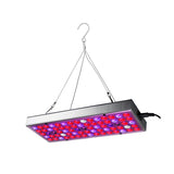 25W 75LED Full Spectrum Grow Light - 1000lm UV Red Blue White for Indoor Plants, Greenhouse, Seeding, Flower, Bonsai