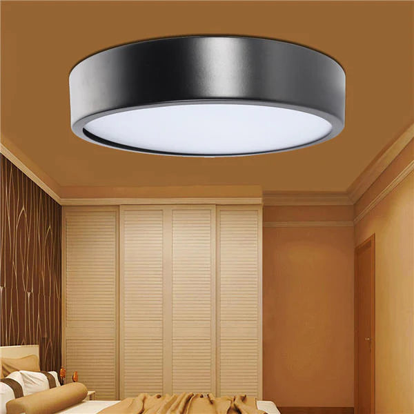 12W/18W/24W LED Ceiling Light, Warm/Cold White, Black Mount Fixture for Home, Bedroom, Living Room, 5CM