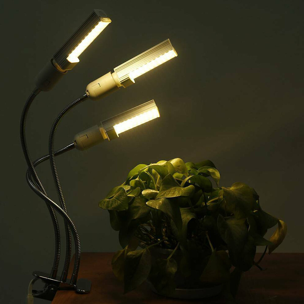 USB LED Timing Plant Grow Light - Three Heads, Phyto Sunlight for Flower Growth