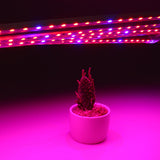 5PCS 50CM SMD5050 Red:Blue 5:1 Grow Plant LED Strip Light with Connector for Greenhouse DC12V