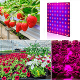 Ultra Thin 81/169 LEDs Full Spectrum UV Grow Light for Indoor Hydroponic Plants and Flowers 110-240V