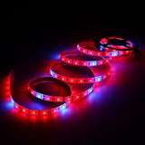 DC12V 2M Full Spectrum LED Grow Strip Light Kit, 5:1 Red:Blue for Hydroponic Plants