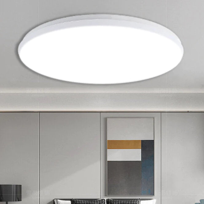 220V Voice Control LED Ceiling Light, 12/18/24W Ultra Thin Flush Mount, Round for Kitchen