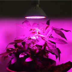 20W LED Grow Light Bulb, 200 LEDs, E27 Base for Indoor Plants, Vegetables, Greenhouse, Hydroponic