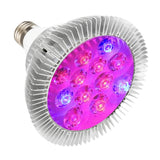 9W 12 LED E27 Red Blue Grow Light for Hydroponics, Flowers, Plants, Vegetables