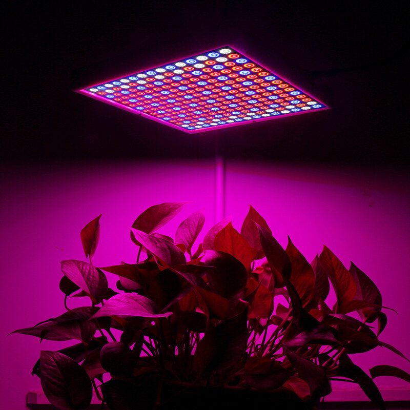 1200W LED Spectrum Grow Light for Hydroponic Indoor Plants