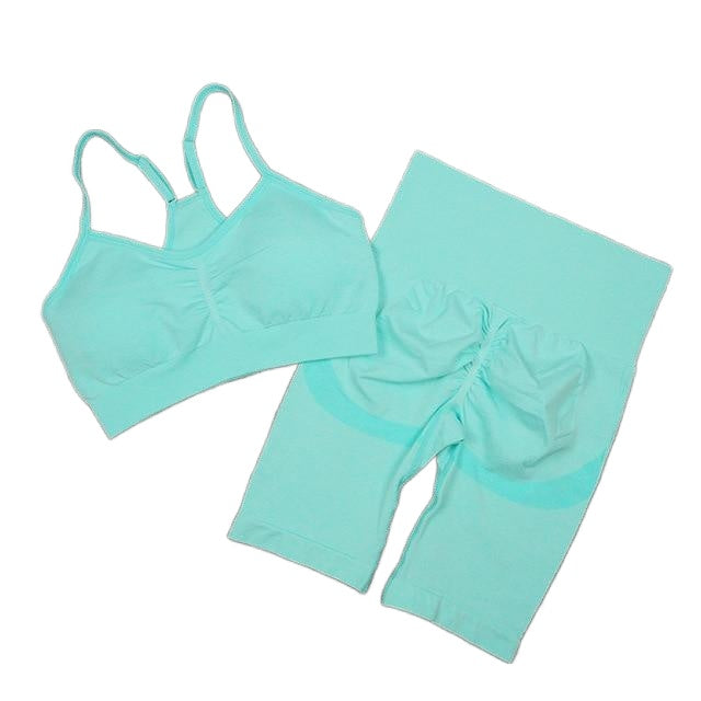 Women's Seamless Sport Suit: Sexy Bra & Shorts Gym Set for Workout, Running, Yoga, and Athletic Wear