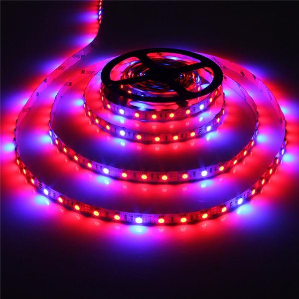 1M-5M 5050 SMD LED Grow Light Strip Non-Waterproof for Hydroponic Plants DC12V