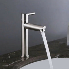 Lead-Free Stainless Steel Bathroom Basin Faucet - Single Cold Sink Tap with Hoses, 181mm/285mm Height