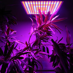 45W/200W Full Spectrum LED Grow Lights with Reflector Cup for Indoor Grow Tent, Box, Greenhouse