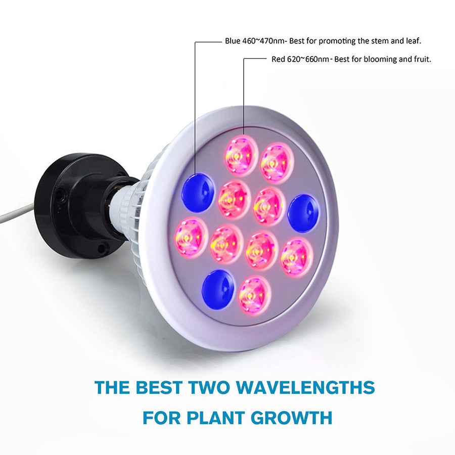 12W/24W/36W Full Spectrum LED Grow Light - 12 PCS Ultra Bulbs for All Plant Stages