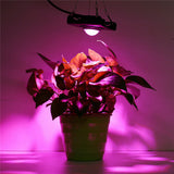 Full Spectrum COB Grow Light - High Brightness PAR, Auto Temp Control LED Floodlight for Indoor Grow Box & Greenhouses