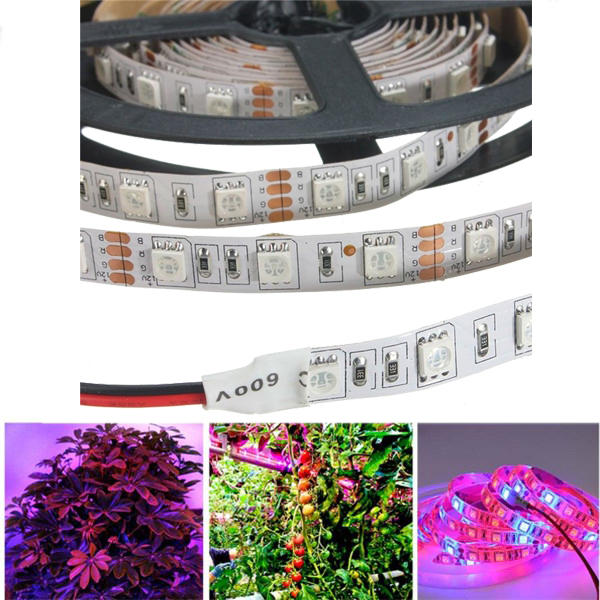 5M 5050SMD 300LED Red/Blue Hydroponic Grow Light Strip DC12V Non-Waterproof 3:1/4:1/5:1