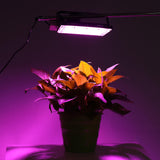 Full Spectrum 50 LED Grow Light Lamp for Plants - Flood Lighting