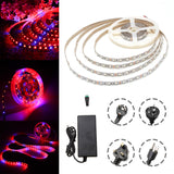 DC12V 5M Non-Waterproof SMD5050 Grow LED Strip Light, R:B 3:1 + 5A Power Adapter + Female Connector