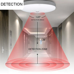 12W/18W Intelligent Motion Sensor LED Ceiling Light, Non-dimmable Home Fixture, AC220V Detective Lamp