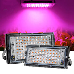 220V Full Spectrum LED Grow Light for Plants, Flowers, Seedlings - Phytolamp Floodlight