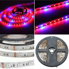 1M-5M 5050 SMD LED Grow Light Strip Non-Waterproof for Hydroponic Plants DC12V