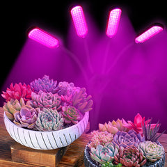 1/3/4 Head LED Grow Light Full Spectrum USB Clip-on Lamp for Indoor Plants, Seedlings, Flowers, Grow Tent