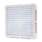 240 LEDs Full Spectrum Plant Grow Light for Indoor Greenhouse Garden - Veg & Bloom Lamp