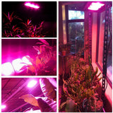 450W Waterproof No-Noise Grow Light for Indoor & Outdoor Plants with Natural Heat Dissipation