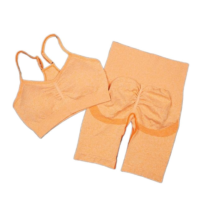 Women's Seamless Sport Suit: Sexy Bra & Shorts Gym Set for Workout, Running, Yoga, and Athletic Wear