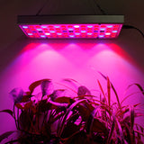 25W 75LED Full Spectrum Grow Light - 1000lm UV Red Blue White for Indoor Plants, Greenhouse, Seeding, Flower, Bonsai